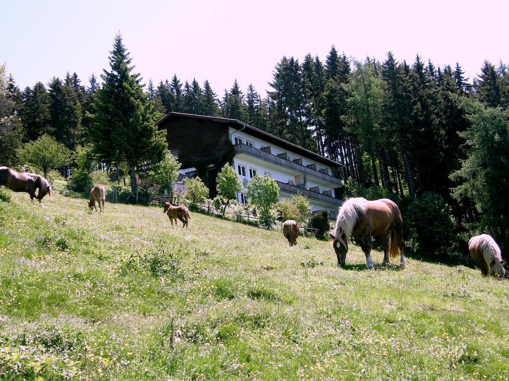 Hotel Garni Gästehaus Karin Sankt Stefan im Lavanttal Exterior foto